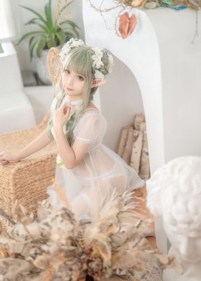 烽火芳菲