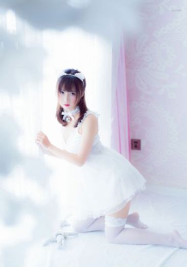 绿萝花电视剧免费观看