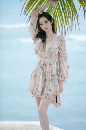傻王闯天下
